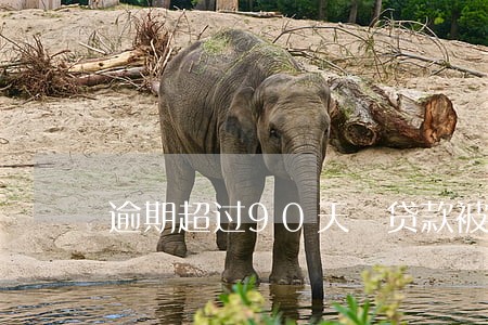 逾期超过90天 贷款被拒